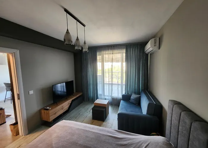 V&s Apartment Plowdiw